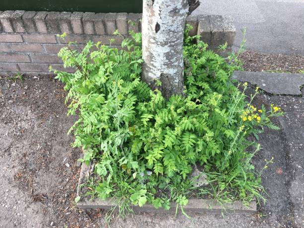 边缘 - biān yuán