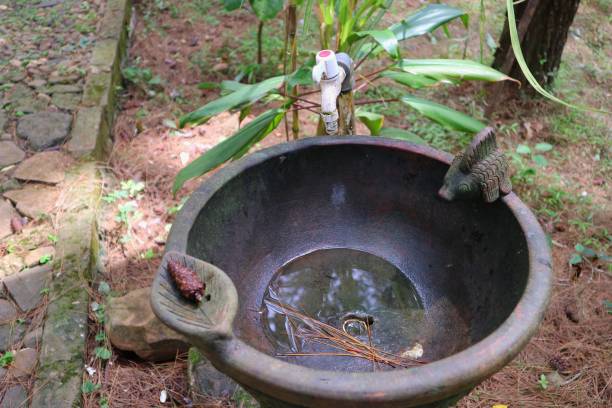 盆腔 - pén qiāng