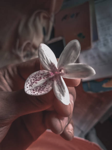 谎花 - huǎng huā