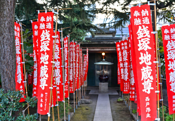 净赢 - jìng yíng