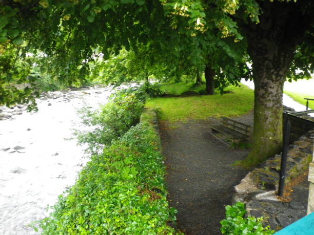 沿江 - yán jiāng