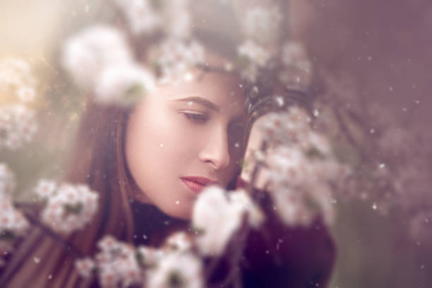 春梦 - chūn mèng