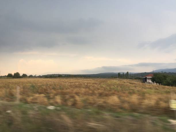 乡园 - xiāng yuán