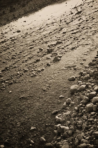 河床 - hé chuáng