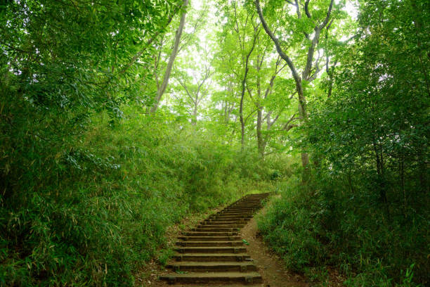 登山 - dēng shān