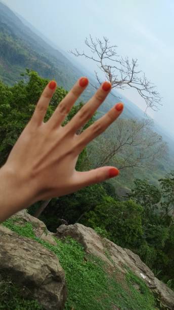 盛行 - shèng xíng