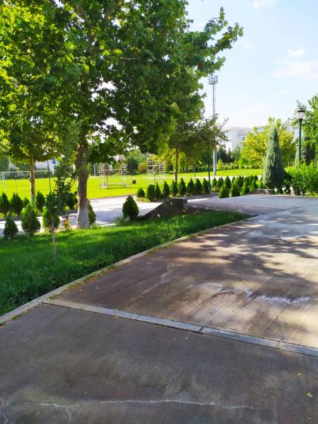 停放 - tíng fàng