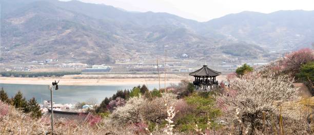 扬长 - yáng cháng