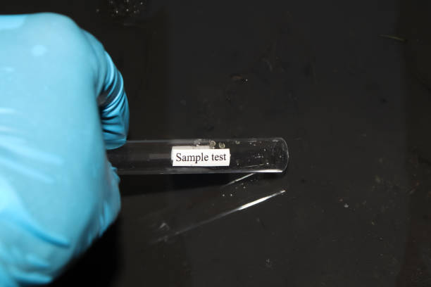 换样 - huàn yàng