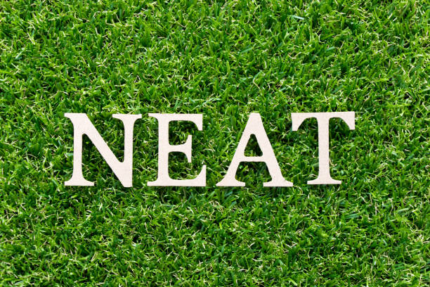 端正 - duān zhèng