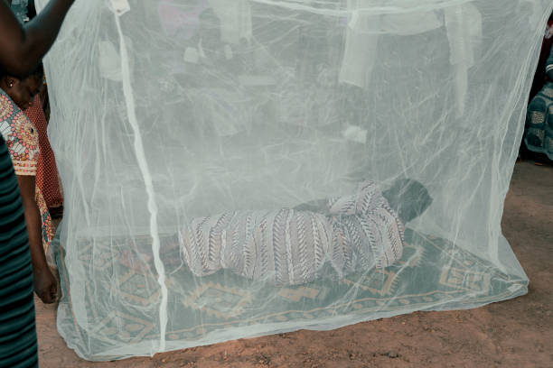 蚊帐 - wén zhàng