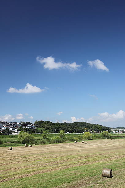 乡镇 - xiāng zhèn