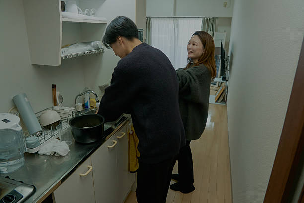 内政 - nèi zhèng