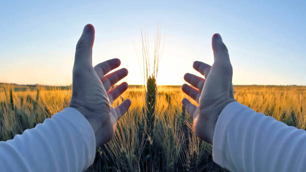 收降 - shōu xiáng