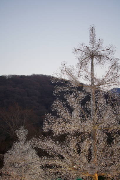 兵源 - bīng yuán