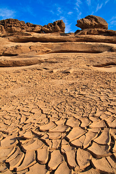 荒旱 - huāng hàn