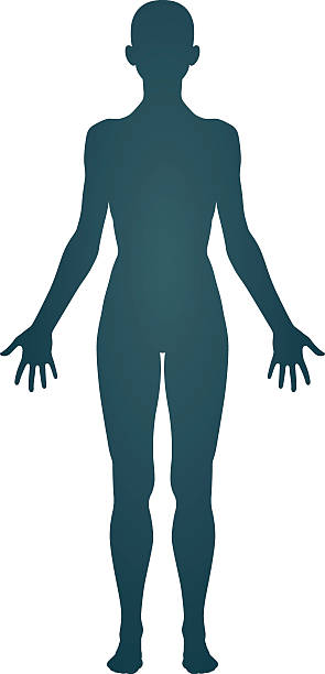 官身 - guān shēn