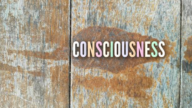 良心 - liáng xīn