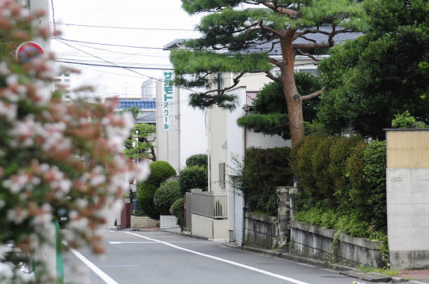 上浣 - shàng huàn