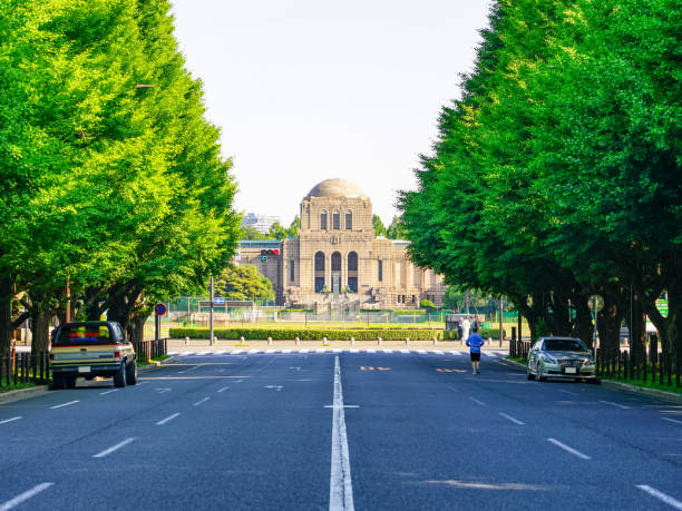 青山 - qīng shān