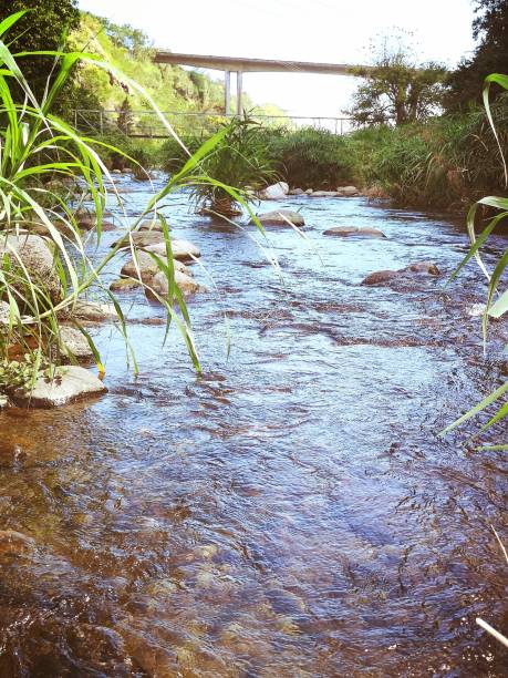 上游 - shàng yóu