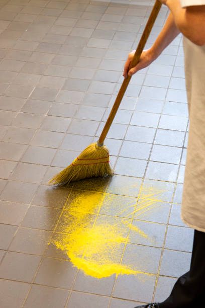 扫黄 - sǎo huáng