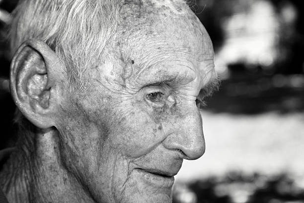 诤友 - zhèng yǒu