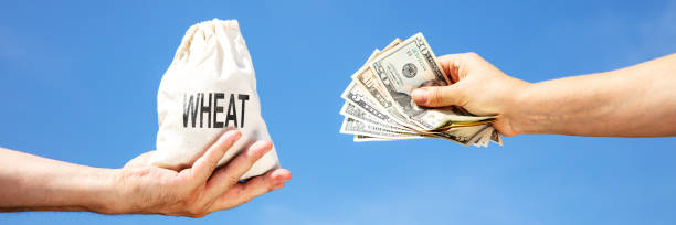 应酬 - yìng chóu