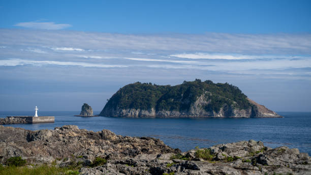 妙算 - miào suàn