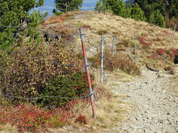 上界 - shàng jiè