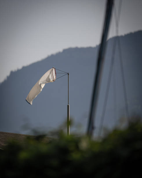 飙风 - biāo fēng