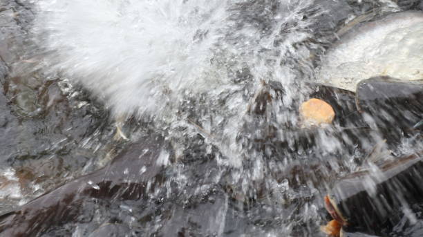 水荡 - shuǐ dàng