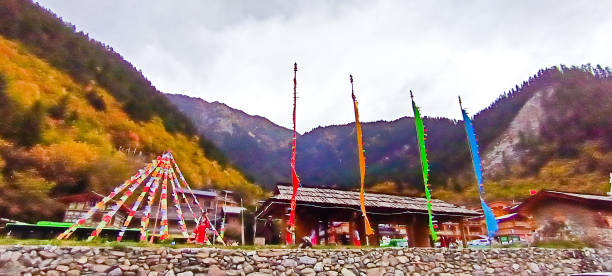 兴旺 - xīng wàng