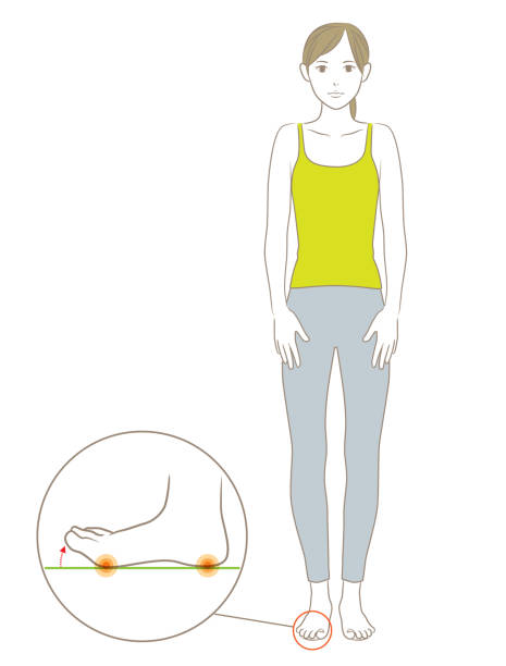 重心 - zhòng xīn