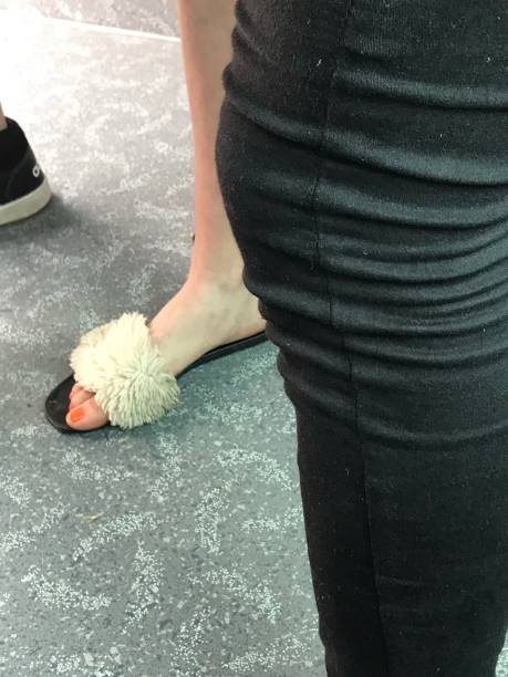 宠任 - chǒng rèn