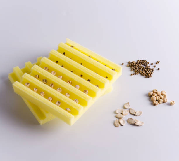 种块 - zhǒng kuài