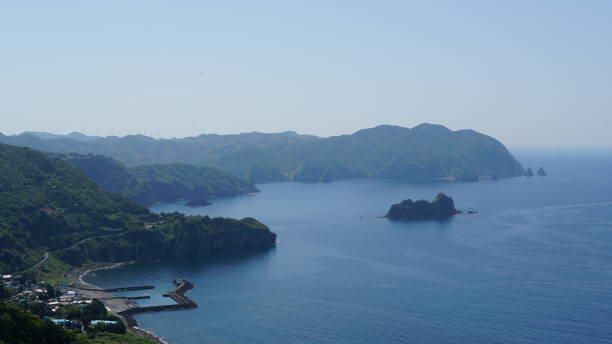 筐柳 - kuāng liǔ