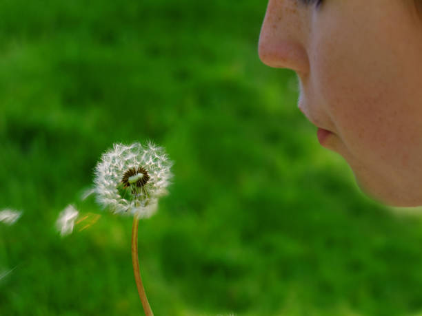 还愿 - huán yuàn