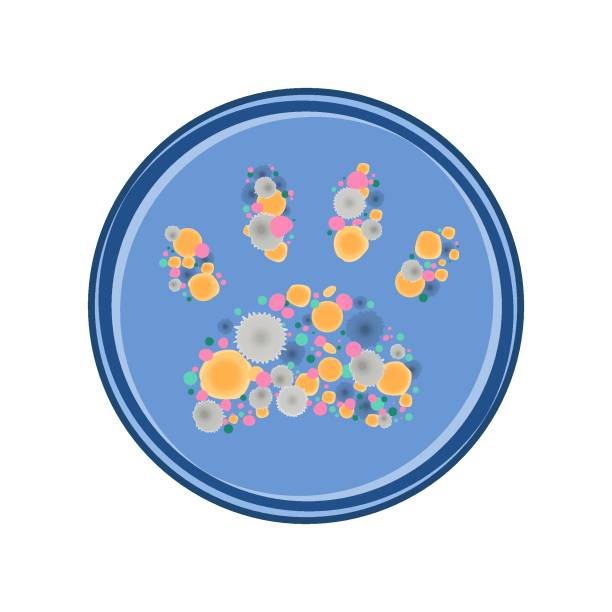 掌印 - zhǎng yìn