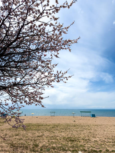 滩簧 - tān huáng