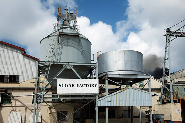 糖厂 - táng chǎng