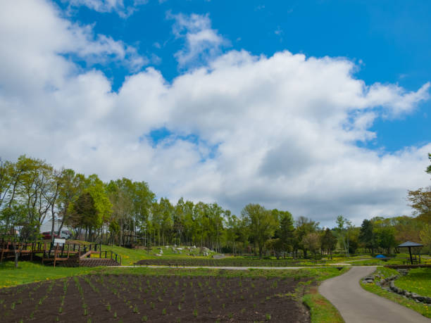 清乡 - qīng xiāng