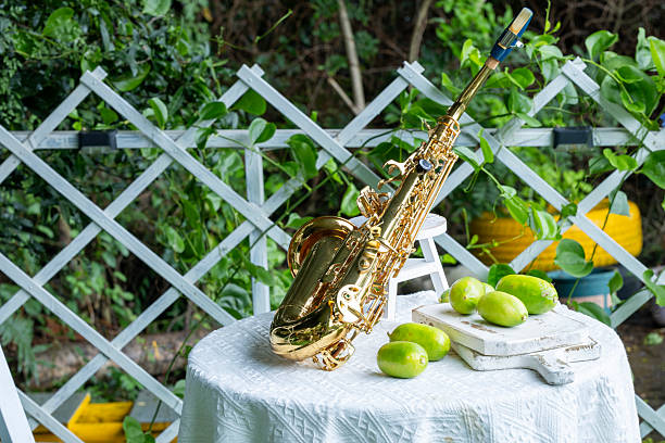 柠檬 - níng méng