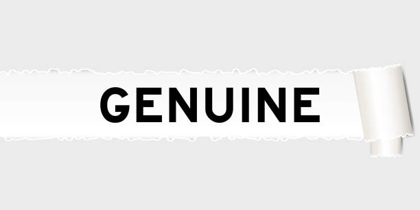 正版 - zhèng bǎn