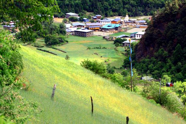 憷场 - chù chǎng