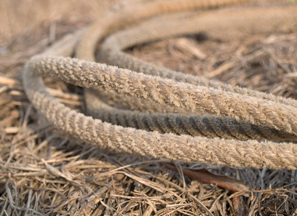 纤绳 - xiān shéng