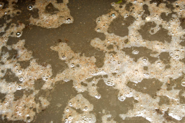 脏水 - zāng shuǐ