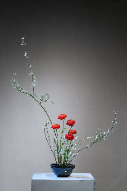 东方 - dōng fāng