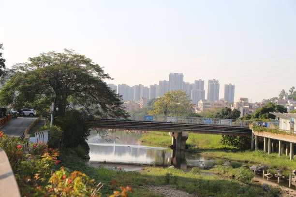 中外 - zhōng wài