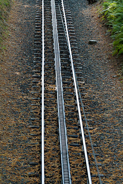 双轨 - shuāng guǐ